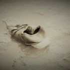 Der einsame Schuh
