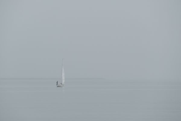 Der einsame Segler 