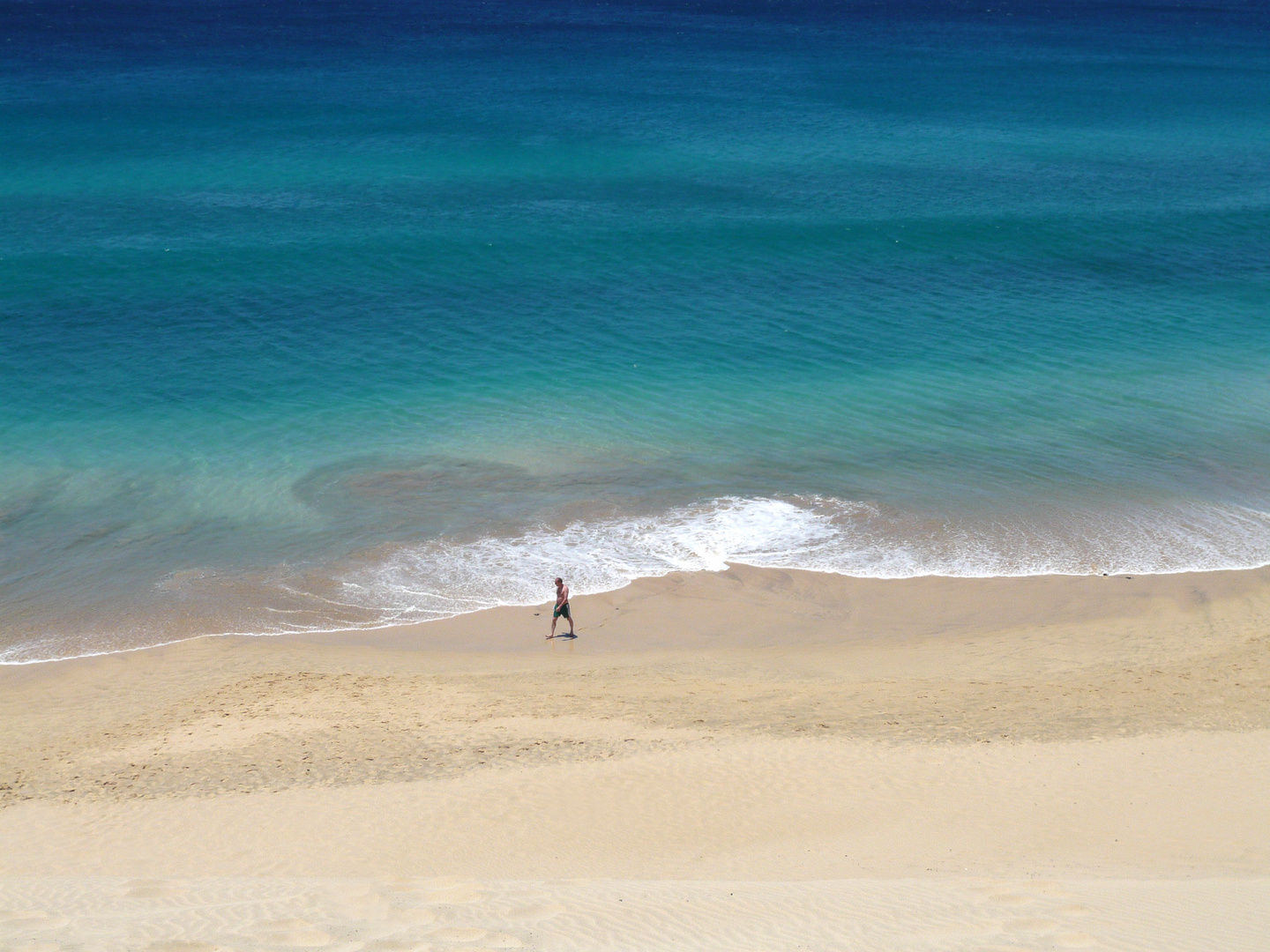 Der einsame Strandläufer