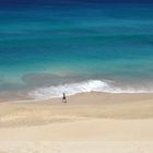 Der einsame Strandläufer