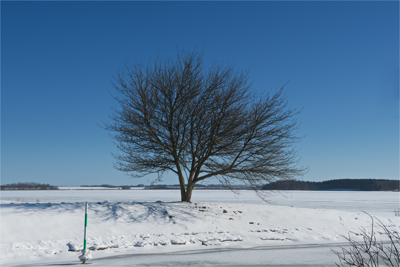 "der Einsame" vom Strelasund...