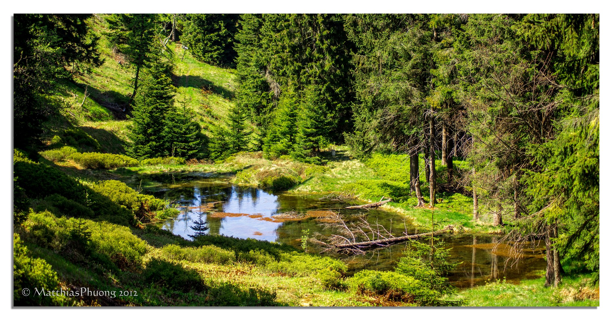 Der einsame Waldsee