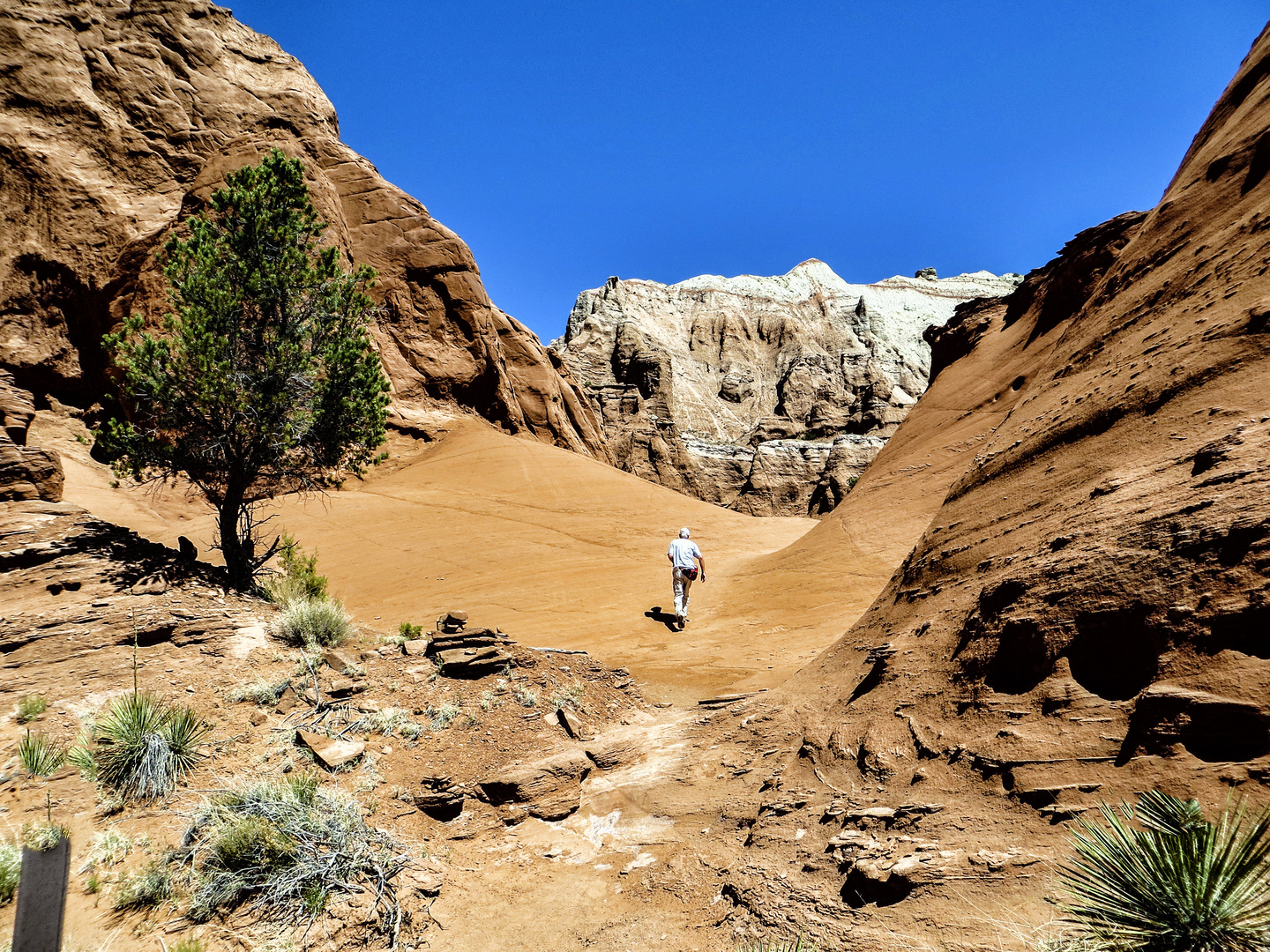 DER EINSAME WANDERER...