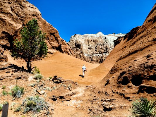 DER EINSAME WANDERER...