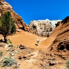 DER EINSAME WANDERER...