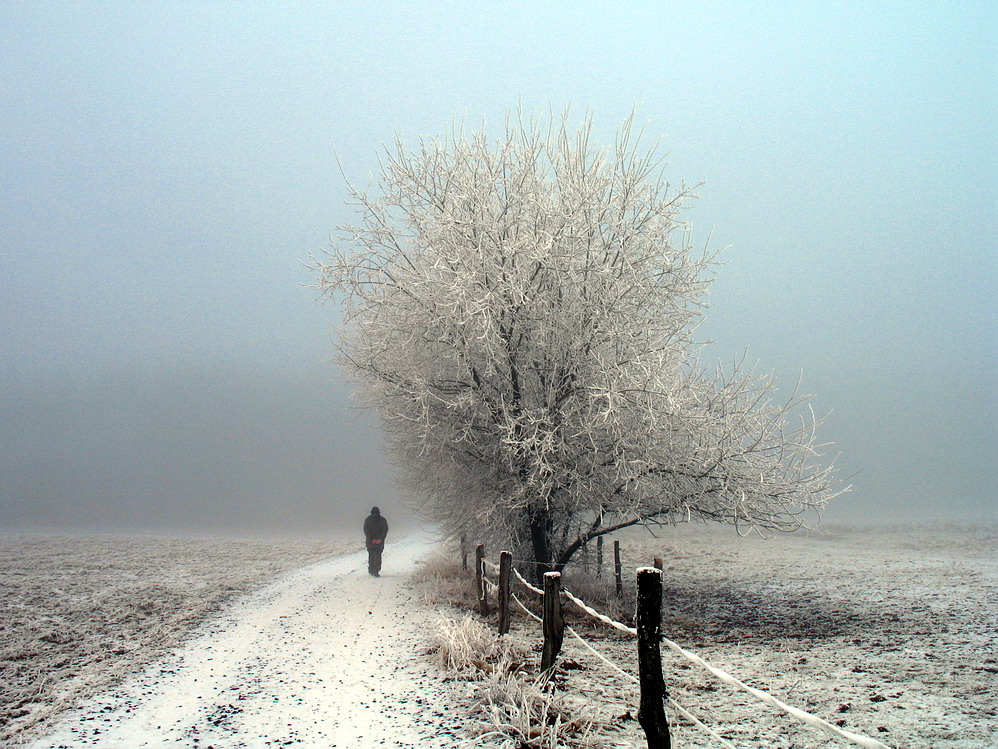 Der einsame Wanderer im Nebel