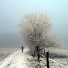 Der einsame Wanderer im Nebel