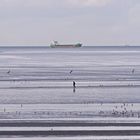 Der einsame Wanderer im Wattenmeer