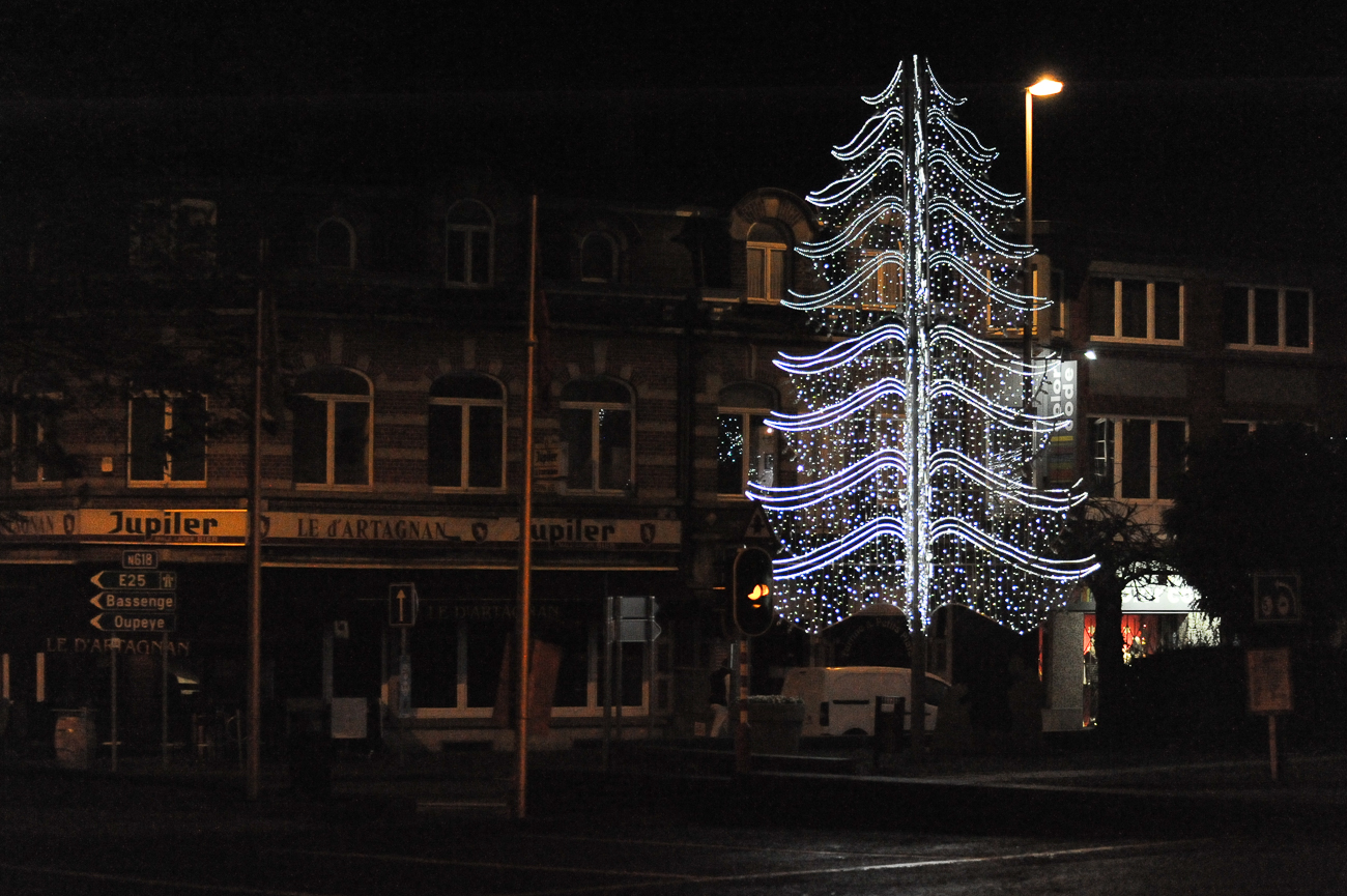 der einsame Weihnachtsbaum