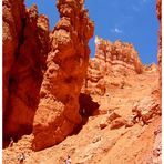 Der Einstieg in den Bryce Canyon...