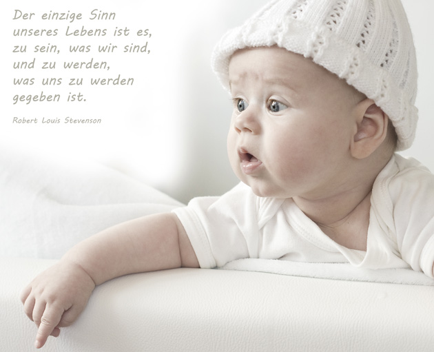 Der einzige Sinn