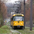 Der einzige Vorteil bei dem trüben Wetter...