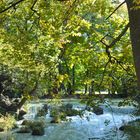 Der Eisbach im Englischen Garten