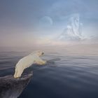 Der Eisbär und das Meer