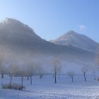 Der Eisbär war unterwegs!!