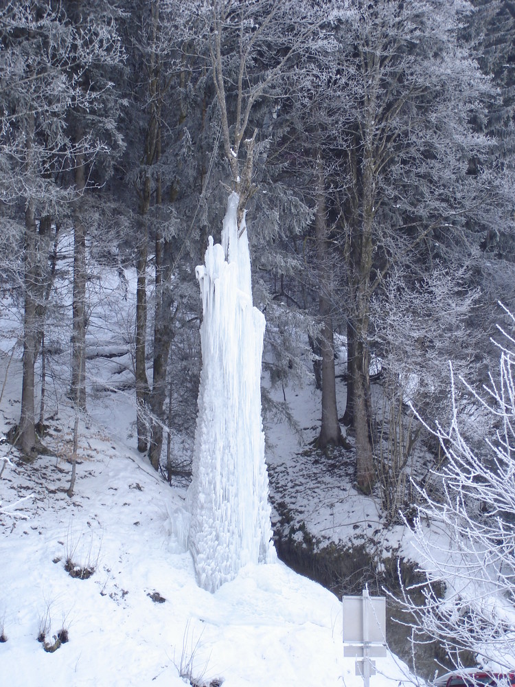 Der Eisbaum