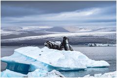 Der Eisberg im Vordergrund....
