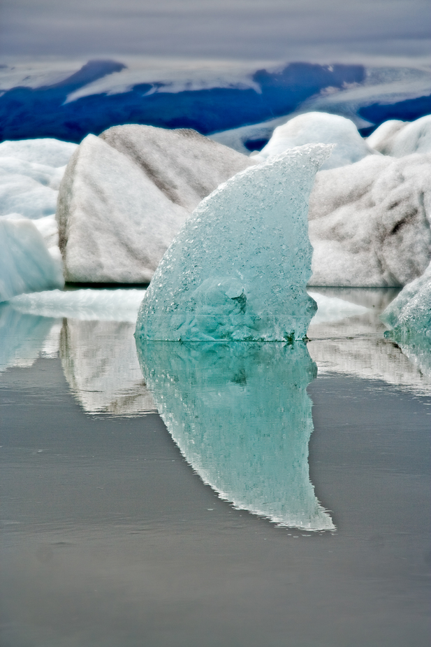 der Eisflosse