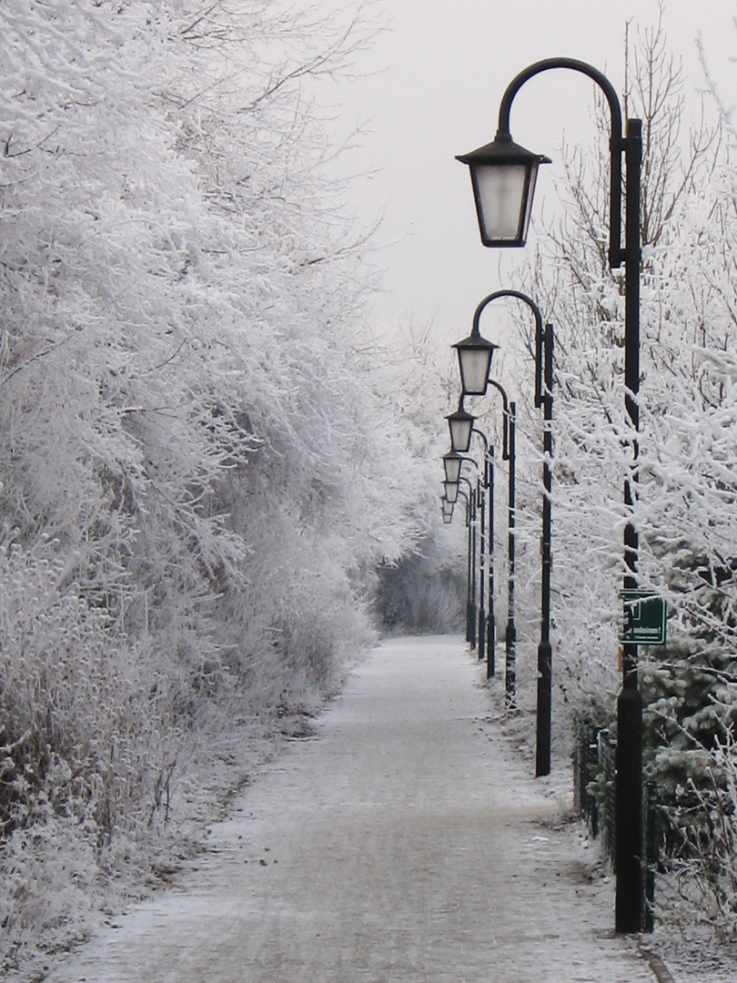 Der eiskalte Weg