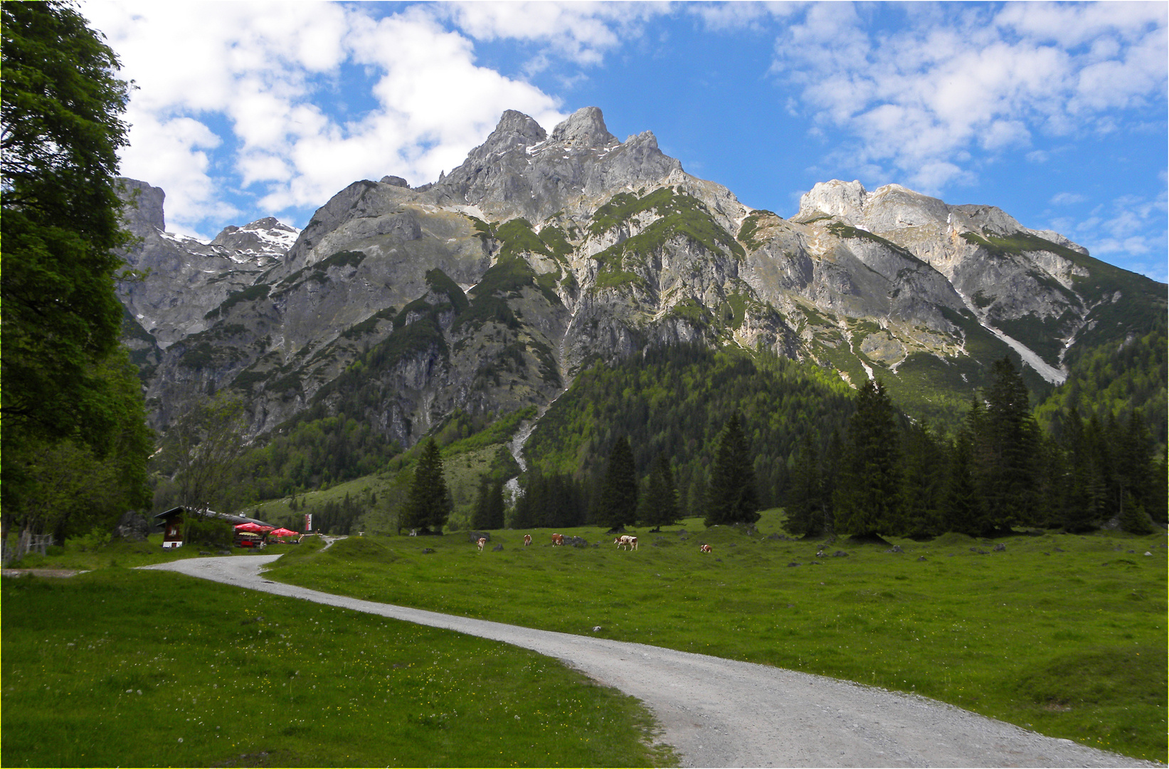 Der Eiskogel....