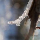 Der Eisstiefel