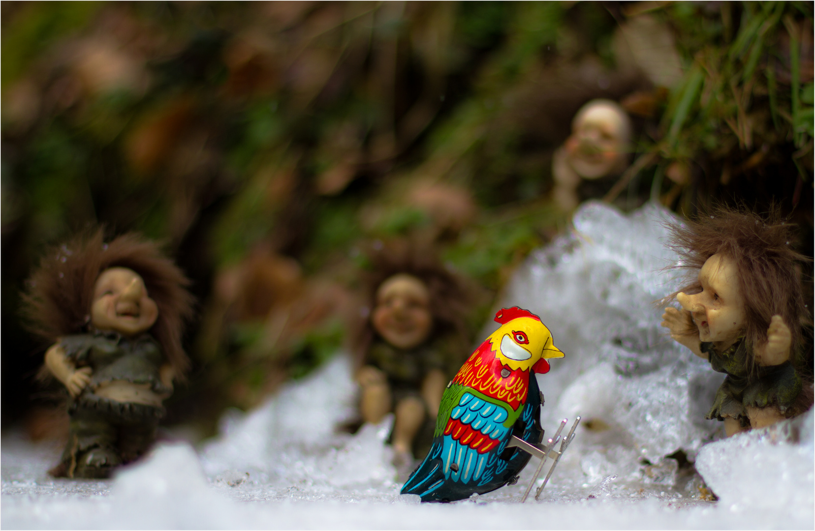 Der Eisvogel kehrt zurück