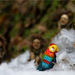 Der Eisvogel kehrt zurück