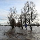 Der Elbe-Radweg im Dezember 2023