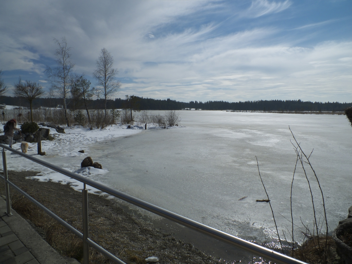 Der Elbsee bei Aitrang im Allgäu