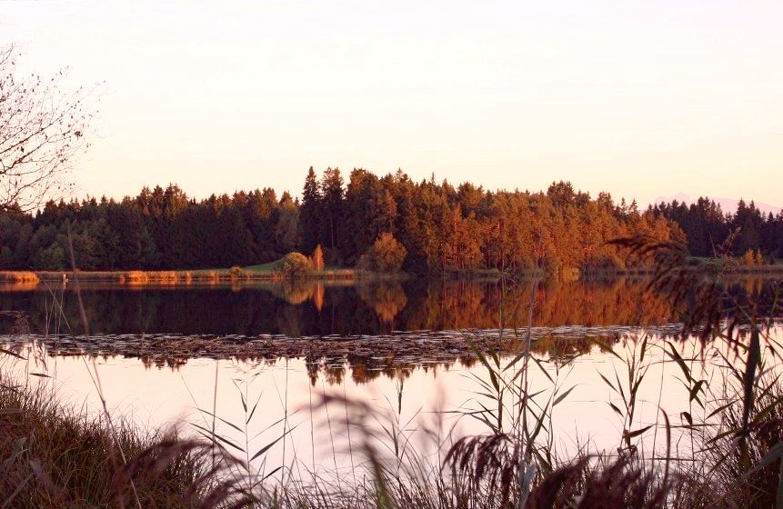 Der Elbsee im Licht der letzten Sonnenstrahlen