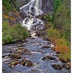 Der Elchwasserfall - Älgafallet / Elgåfossen