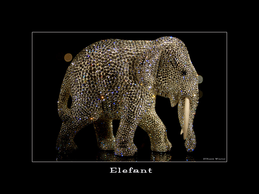 Der Elefant