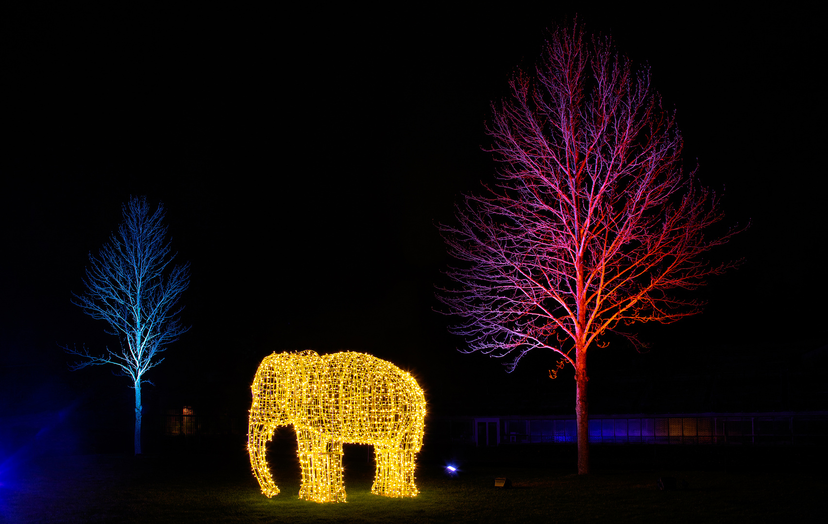 Der Elefant im Christmas Garden