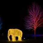 Der Elefant im Christmas Garden
