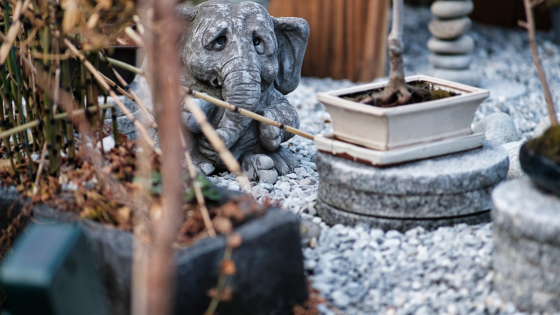 Der Elefant im garten Steinfigur