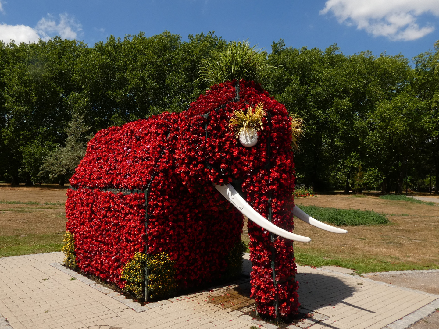 Der Elefant im Hammer Kurpark