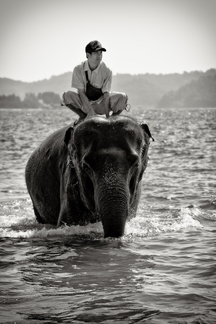 Der Elefant und sein Mensch