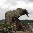 Der Elefantenfels - Sardinien 2013