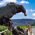 Der Elefantenfelsen auf Sardinien