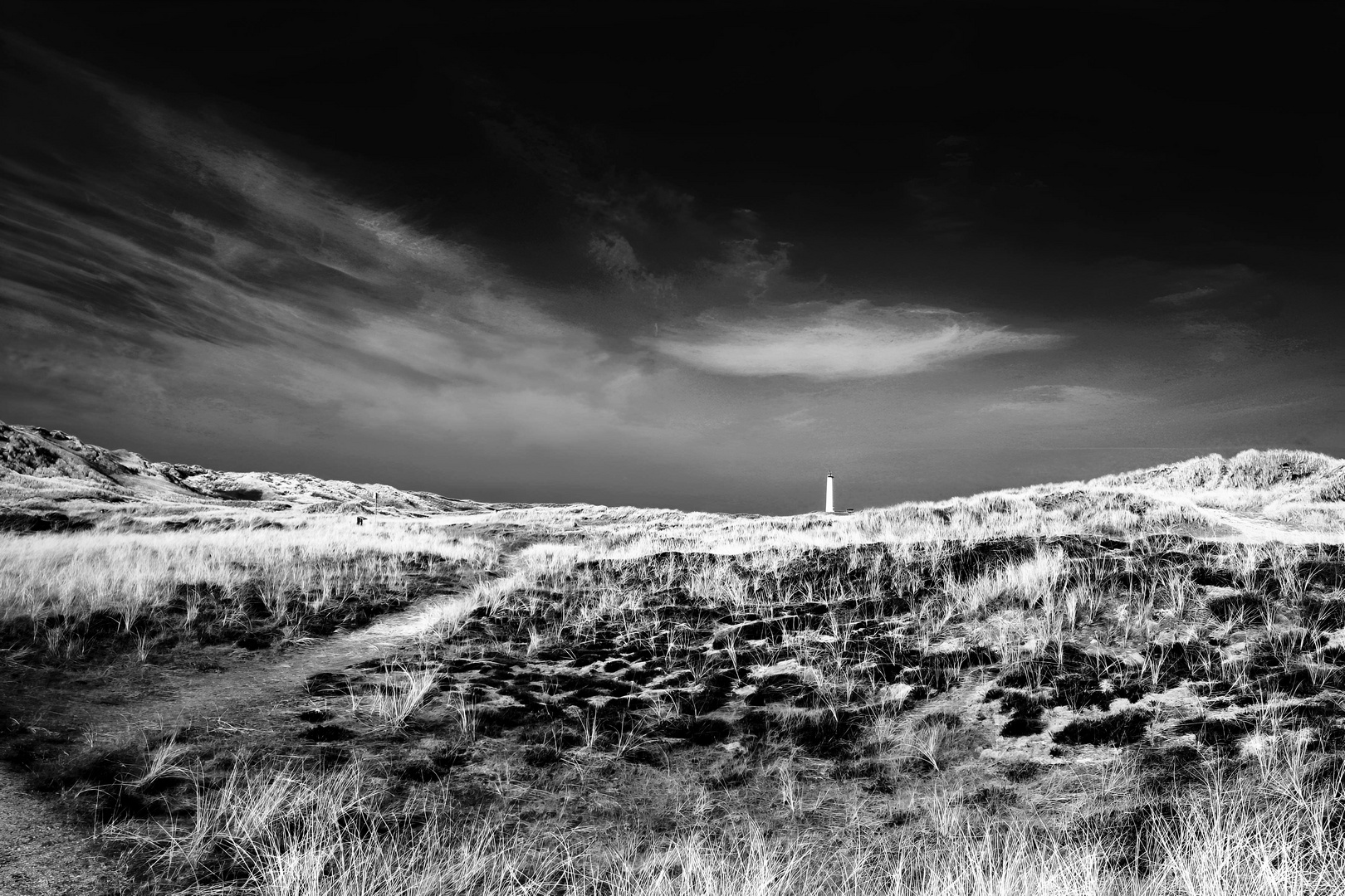 Der Elfenbeinturm