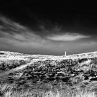 Der Elfenbeinturm