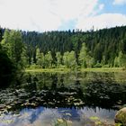 Der Ellbachsee