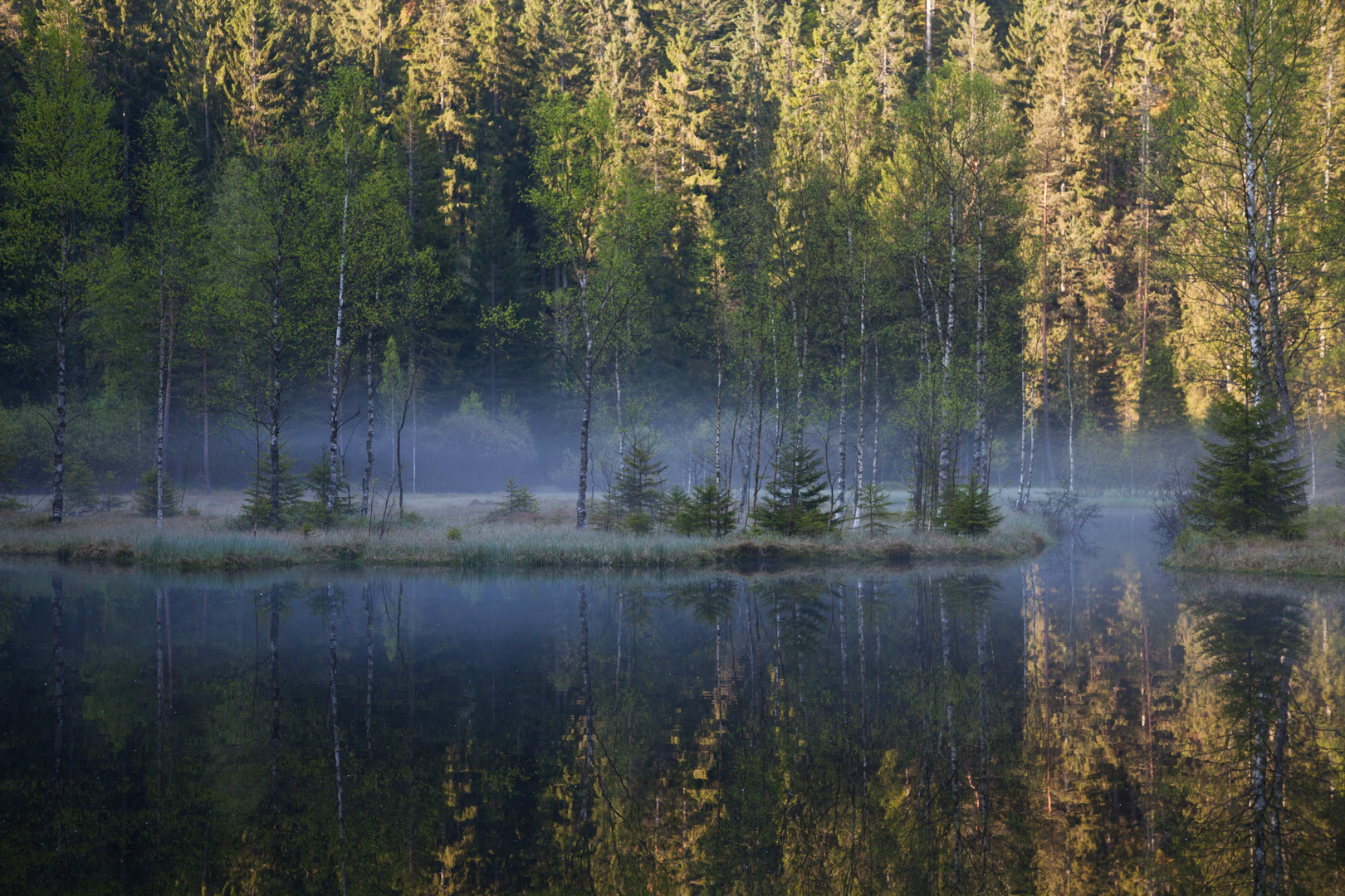 der Ellbachsee bei Freudenstadt-Kniebis im Nordschwarzwald