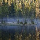 der Ellbachsee bei Freudenstadt-Kniebis im Nordschwarzwald