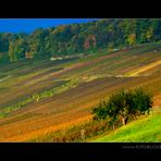 der Ellen mal den Herbst erklär