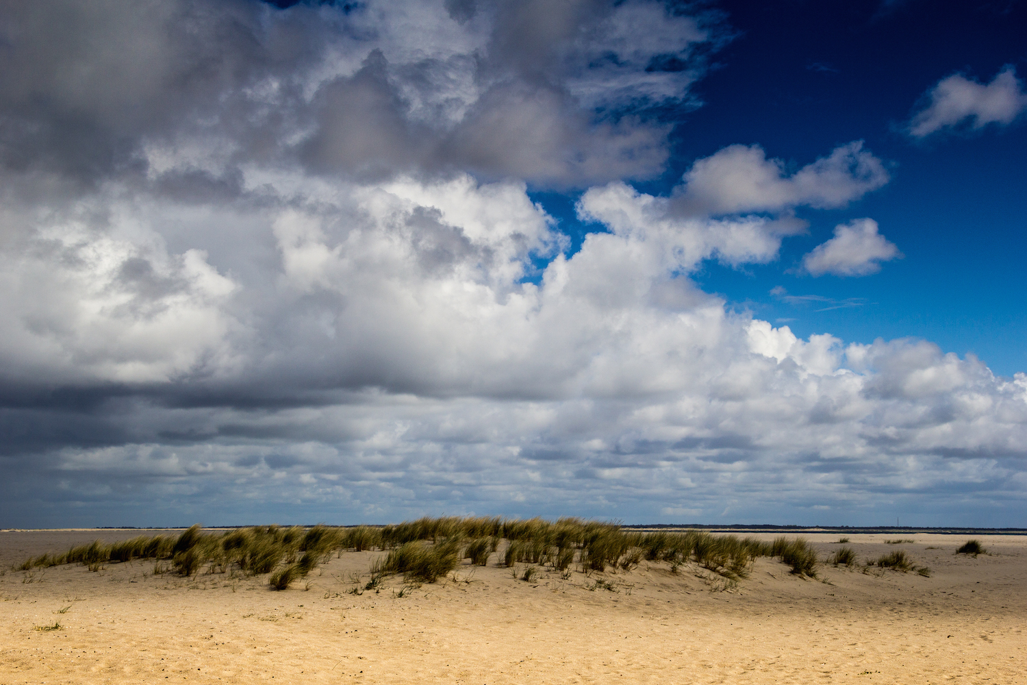 Der Ellenbogen / Sylt