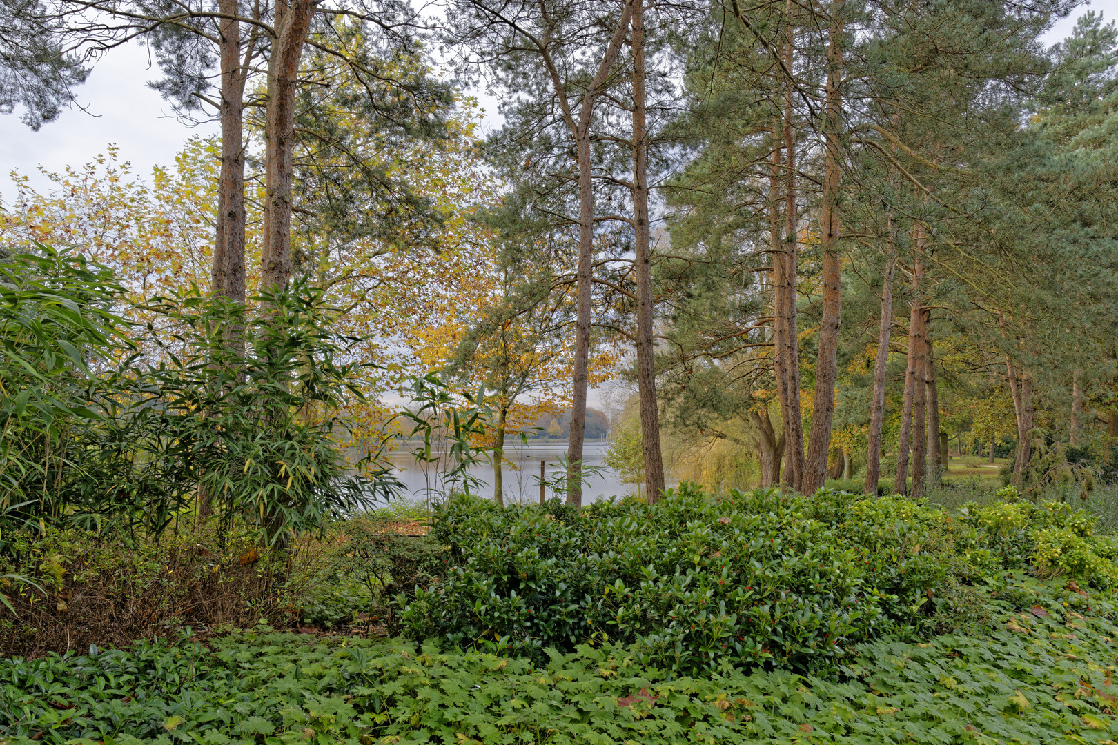 Der Emssee in Warendorf