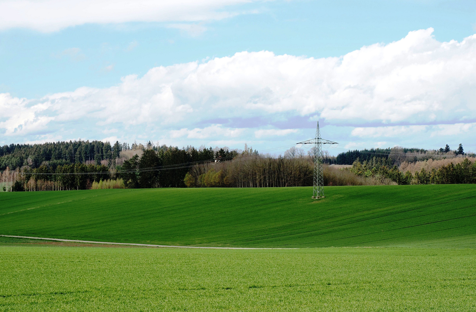 Der Energieträger