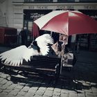 Der Engel von Lviv