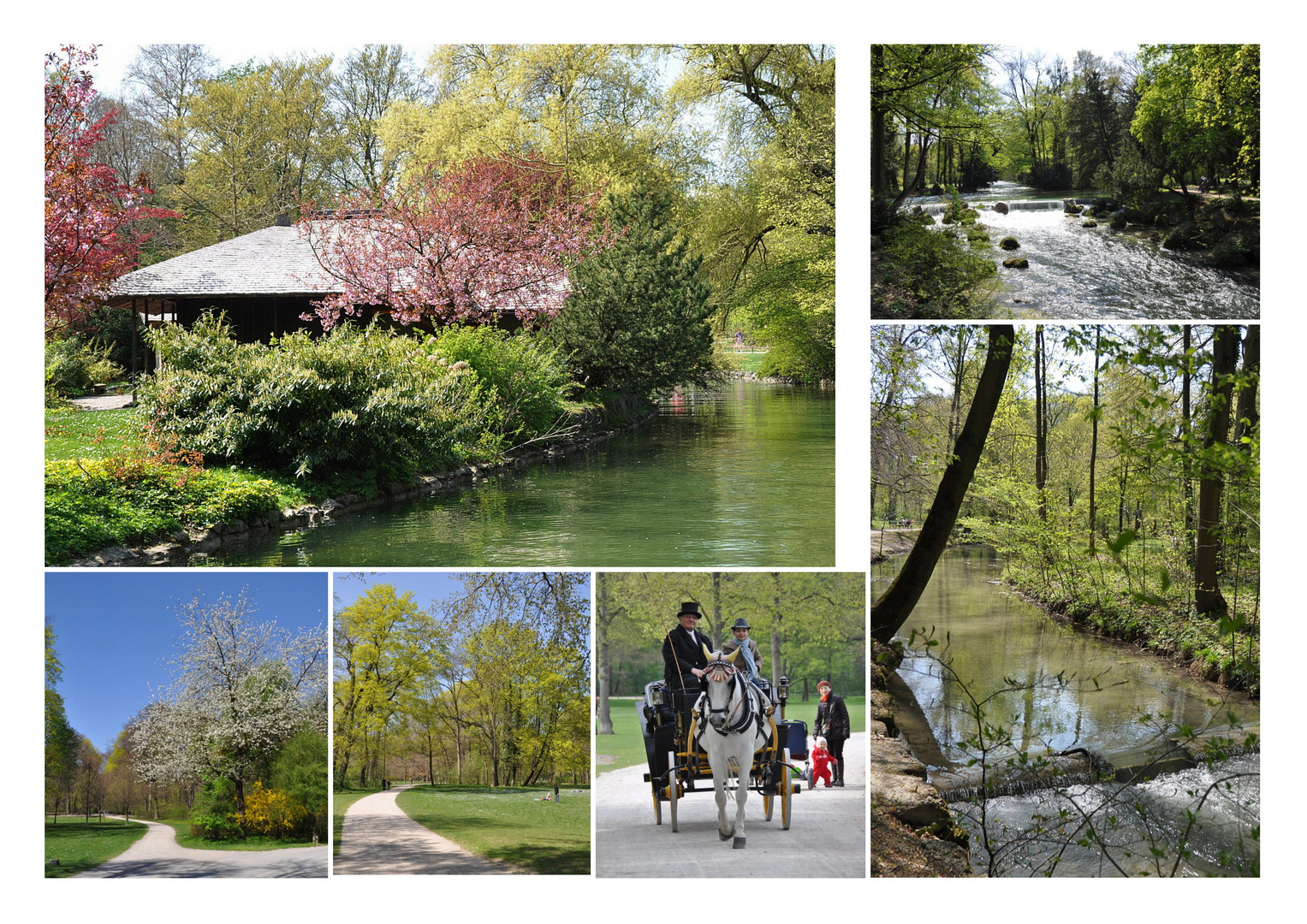 ..der Englische Garten in München..